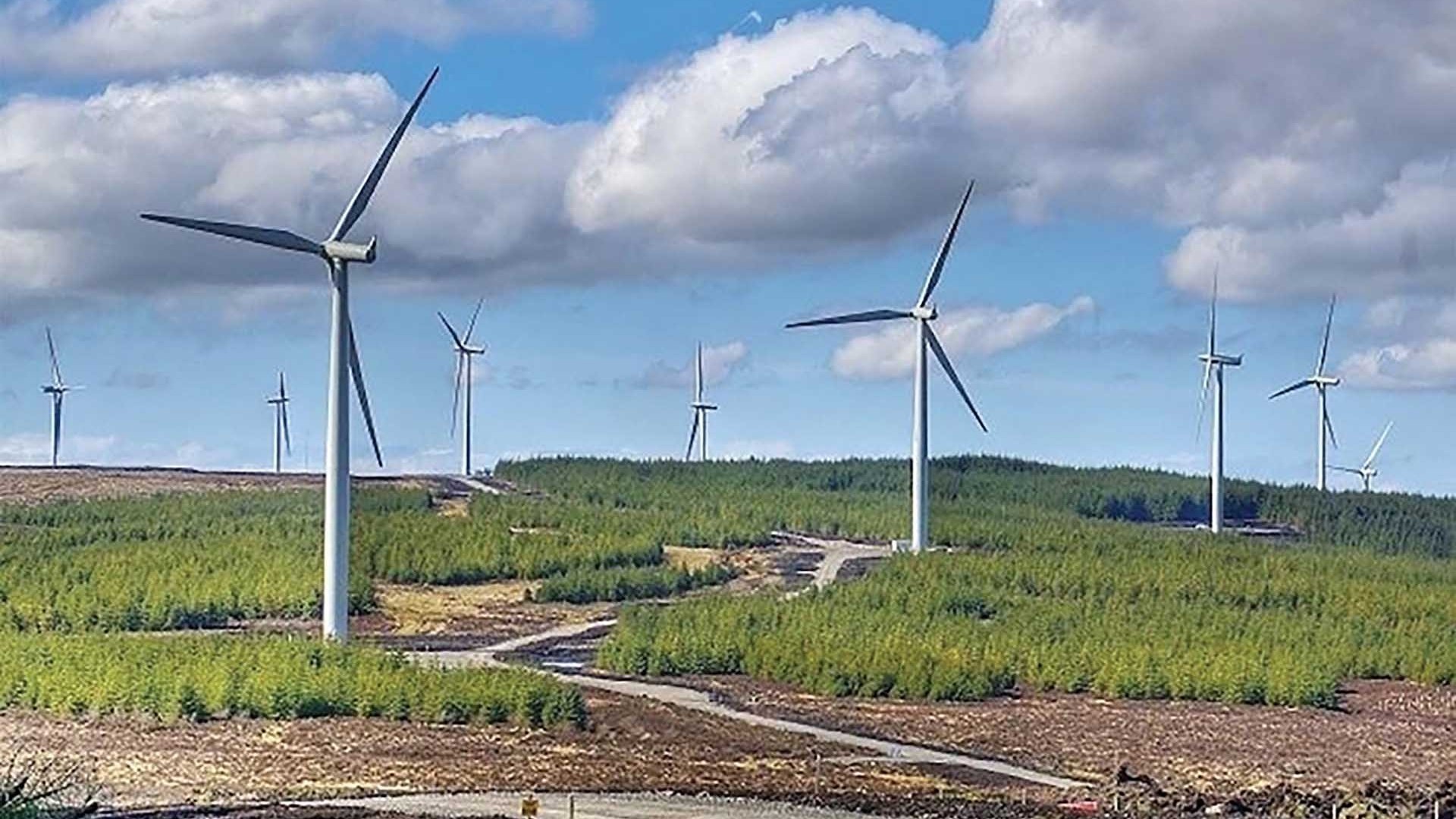 Để nền kinh tế ‘xanh hơn’