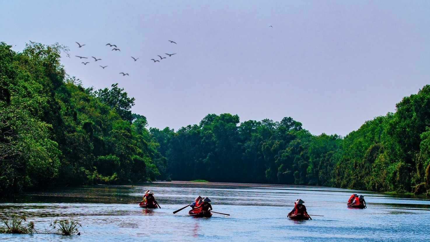 Điểm Tham quan Khu Bảo tồn sinh thái Đồng Tháp Mười: Tiếp dẫn cảm hứng