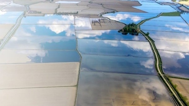 Khám phá vẻ đẹp nông nghiệp lúa nước Italy