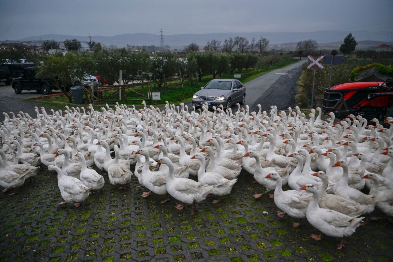 Ảnh ấn tượng (26/2 3/3): Ông Putin nói phương Tây muốn ‘mang sự bất hòa vào Nga’, Ukraine nói về ‘điều không đủ để giành chiến thắng’