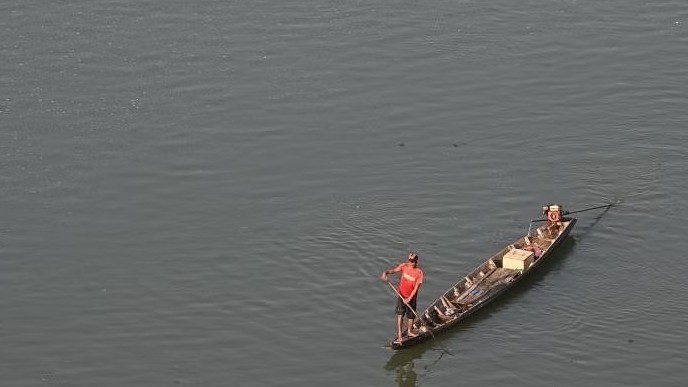 Nhiều loại cá khu vực sông Mekong đối mặt nguy cơ tuyệt chủng