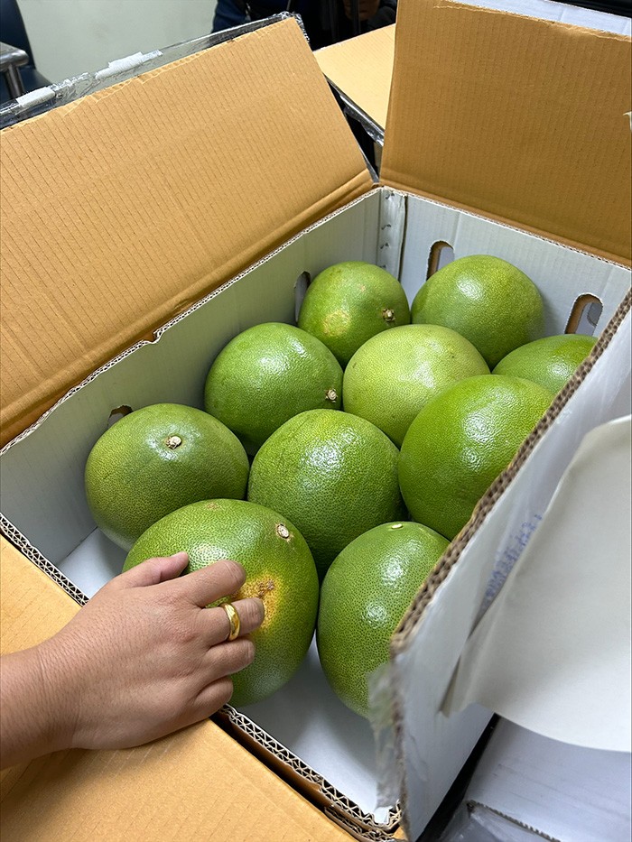 Món quà đặc biệt kỷ niệm quan hệ Mỹ-Thái Lan