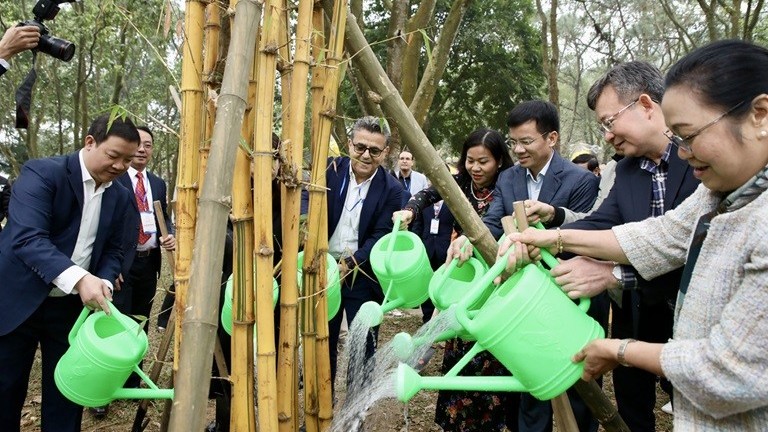 Theo chân bạn bè quốc tế du xuân về Quần thể Di tích Quốc gia đặc biệt Đền Sóc