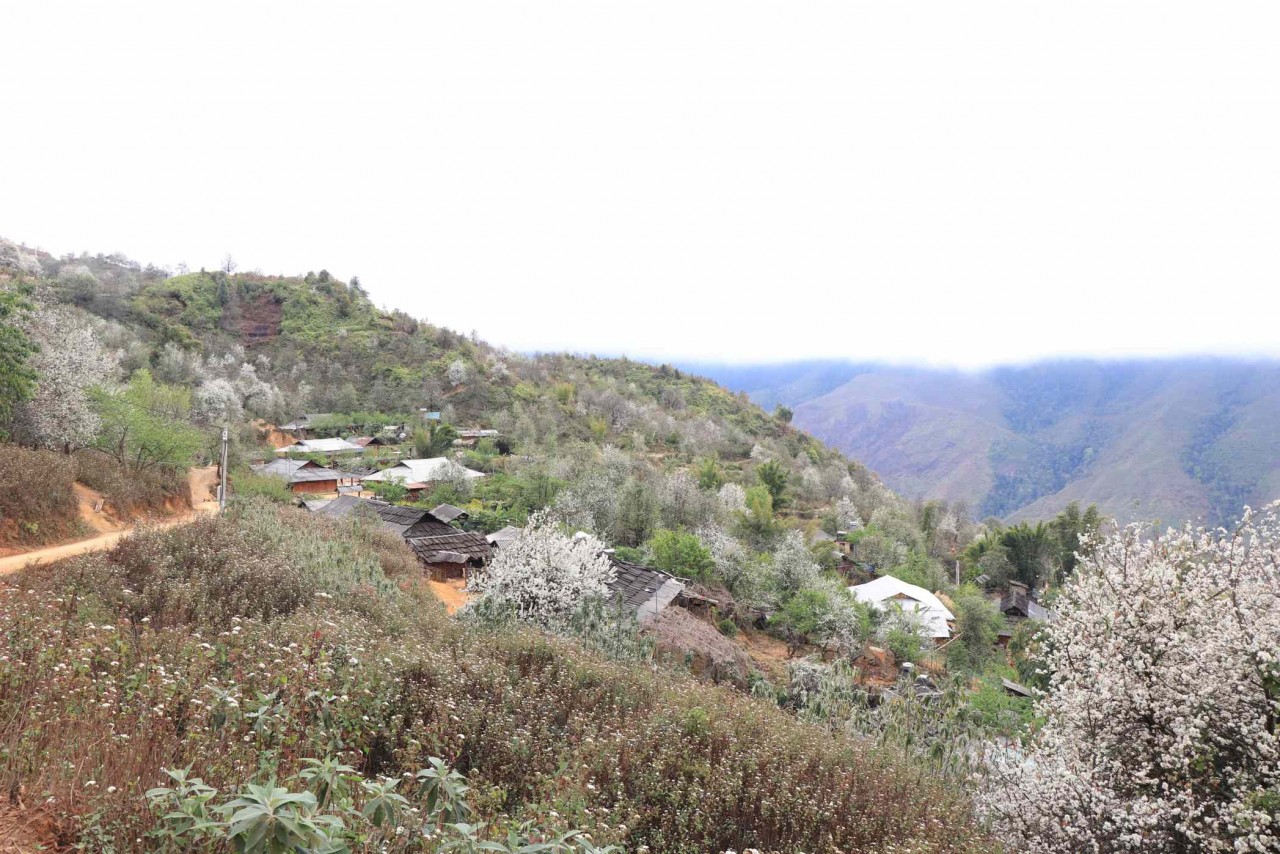 Bản Nậm Nghẹp là địa điểm du lịch hấp dẫn đối với du khách. (Nguồn: Cổng trang điện tử Sơn La) Bản Nậm Nghẹp là địa điểm du lịch hấp dẫn đối với du khách. (Nguồn: Cổng trang điện tử Sơn La)