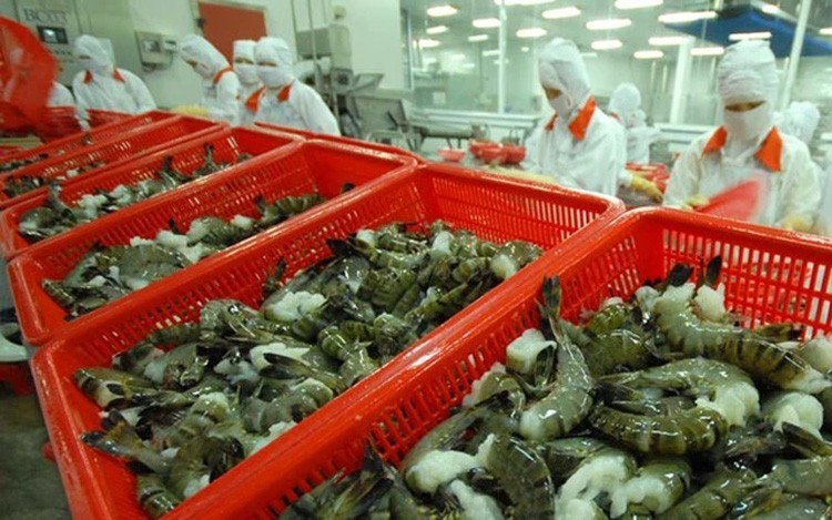 Xuất khẩu ngày 4-10/3: Xuất khẩu ngày 4-10/3: Nhờ EVFTA, cá ngừ tươi, đông lạnh và khô vào EU tăng phi mã; 'cửa sáng' cho hàng dệt may từ thị trường Brazil