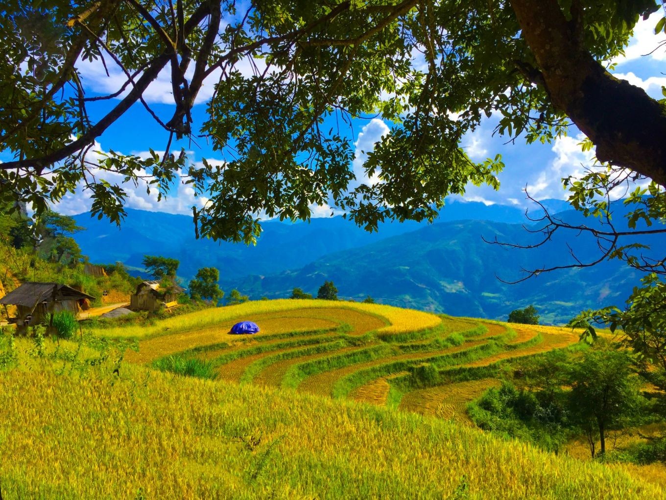 (Ảnh: Lưu Học) (Ảnh: Lưu Học)