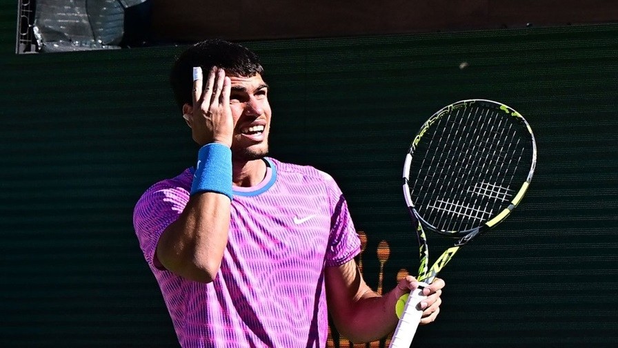 Tứ kết Indian Wells 2024 dừng gữa chừng do... ong đốt trọng tài