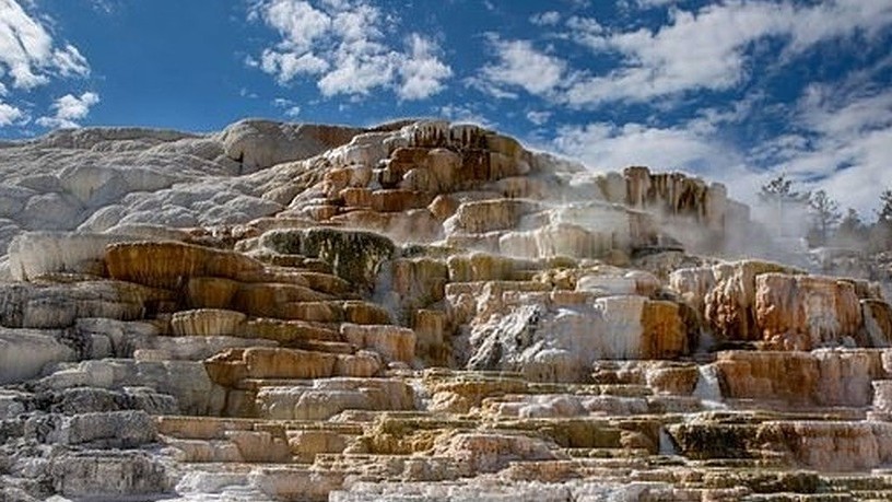 Tài tử Pierce Brosnan đã đi tham quan vùng cấm của công viên quốc gia Yellowstone