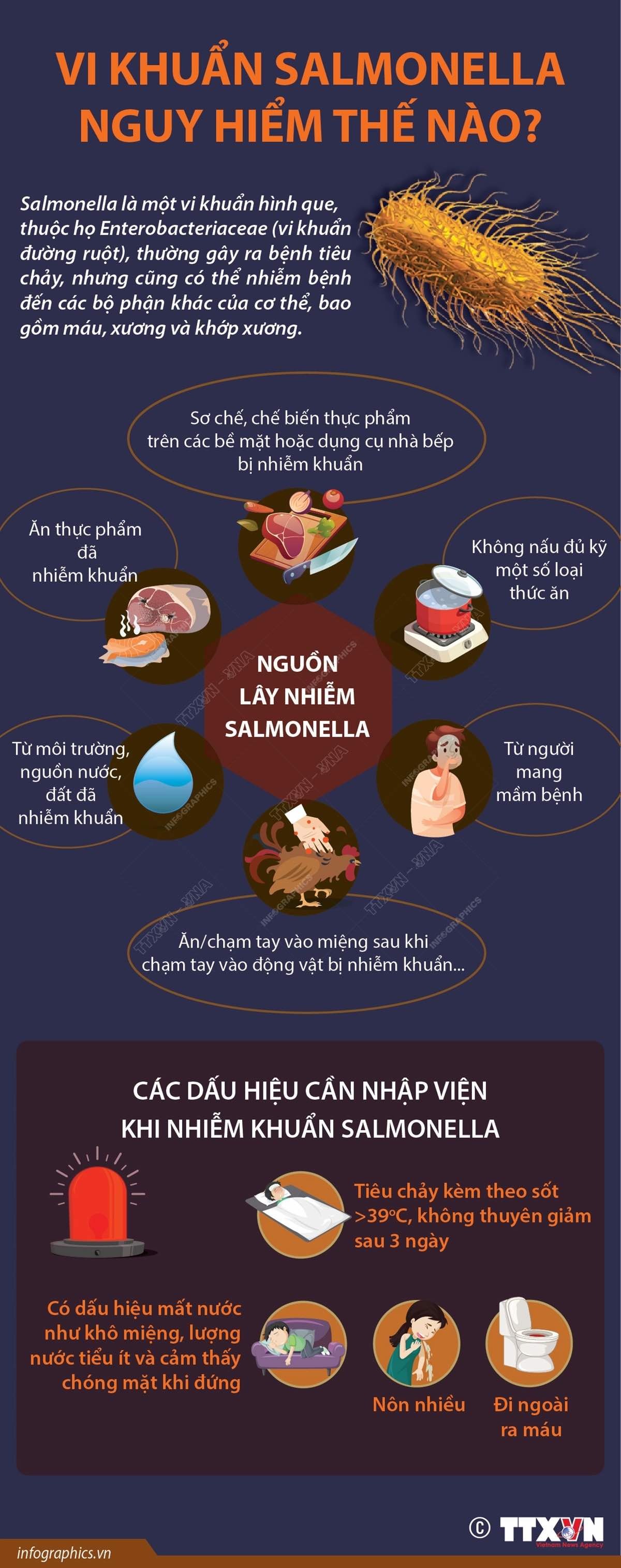 Vi khuẩn salmonella nguy hiểm thế nào?