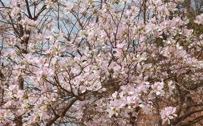 Quảng bá du lịch Điện Biên thời số hóa Quảng bá du lịch Điện Biên thời số hóa