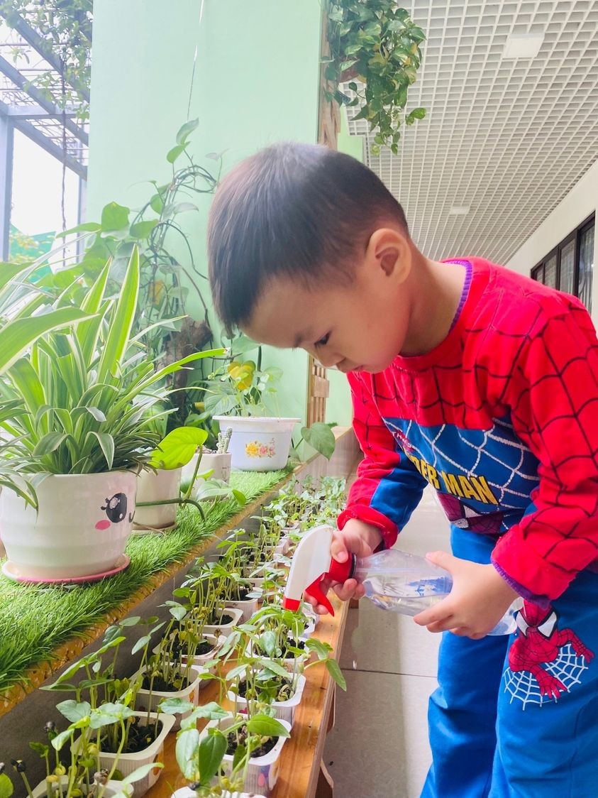 Giáo dục Giáo dục