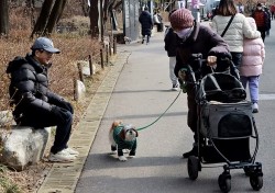 'Đã đến lúc loại bỏ thịt chó khỏi bàn ăn'