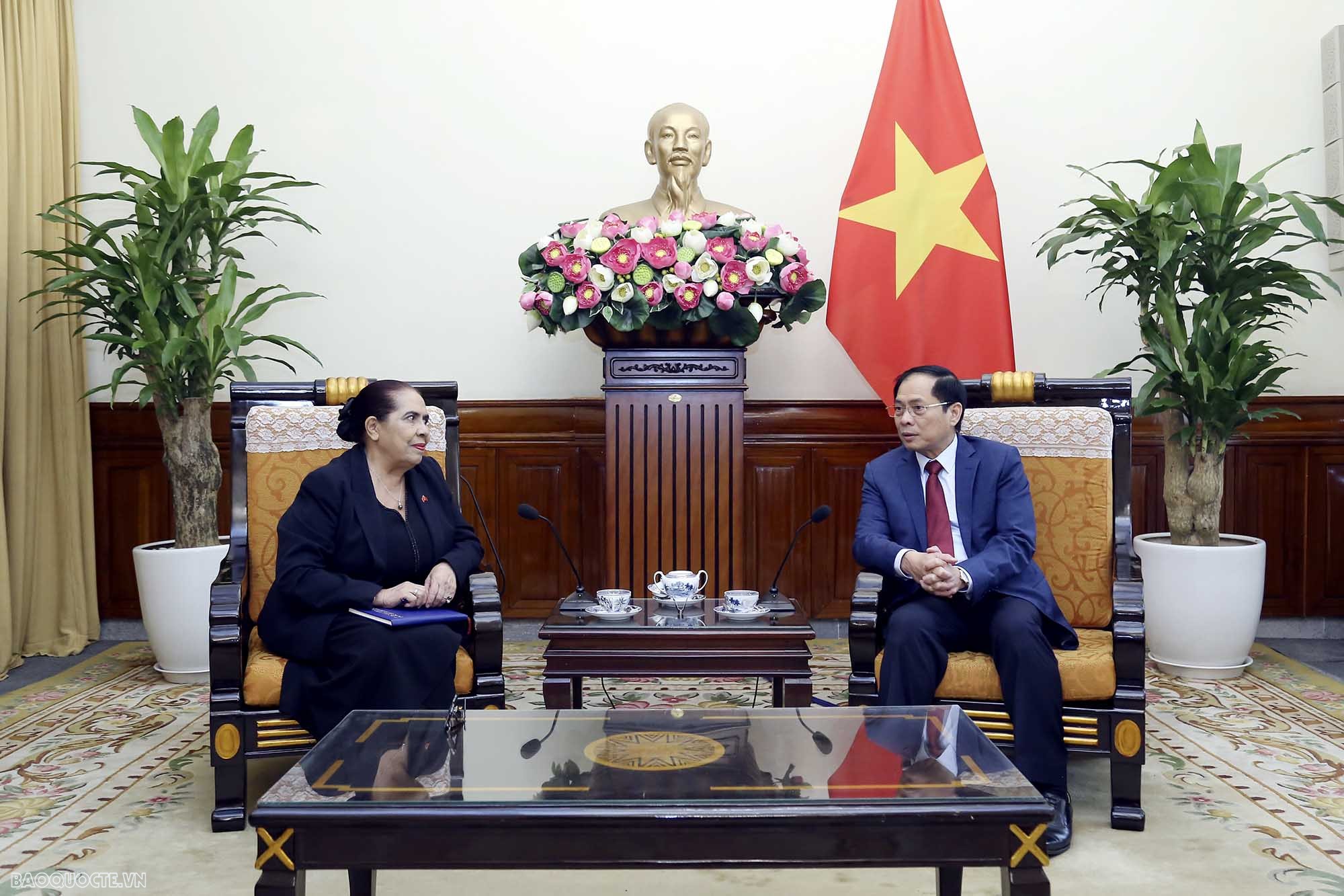 Bộ trưởng Ngoại giao Bùi Thanh Sơn tiếp Đại sứ Timor-Leste chào từ biệt