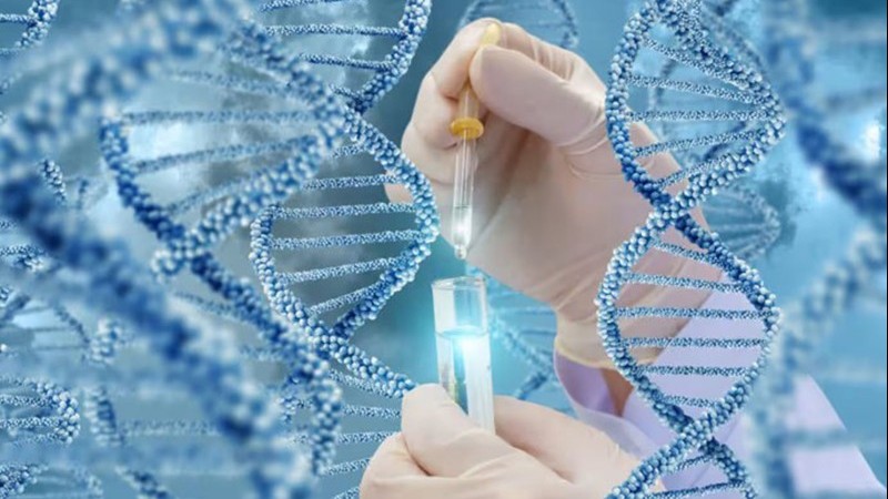 Năng lực AI của Việt Nam thúc đẩy các công ty khởi nghiệp trong lĩnh vực y học chính xác