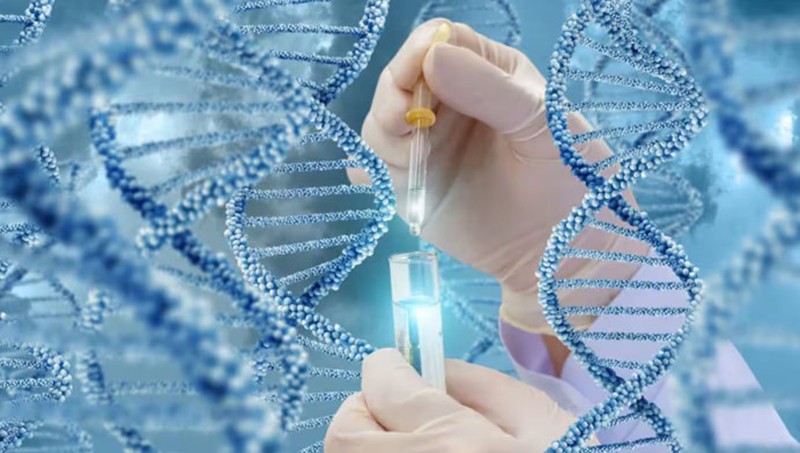 Năng lực AI của Việt Nam thúc đẩy các công ty khởi nghiệp trong lĩnh vực y học chính xác Năng lực AI của Việt Nam thúc đẩy các công ty khởi nghiệp trong lĩnh vực y học chính xác