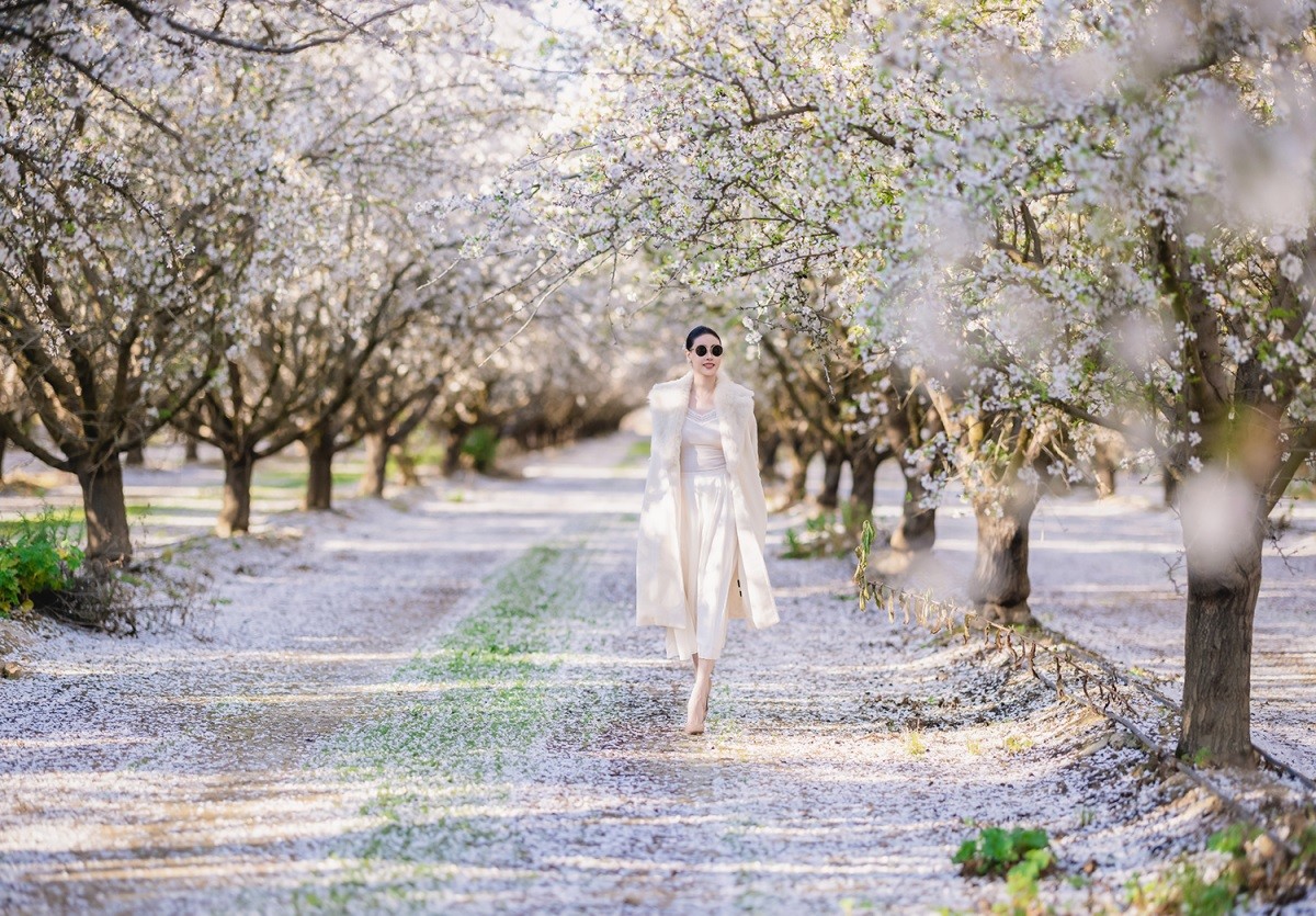 Hoa hậu Hà Kiều Anh Hoa hậu Hà Kiều Anh