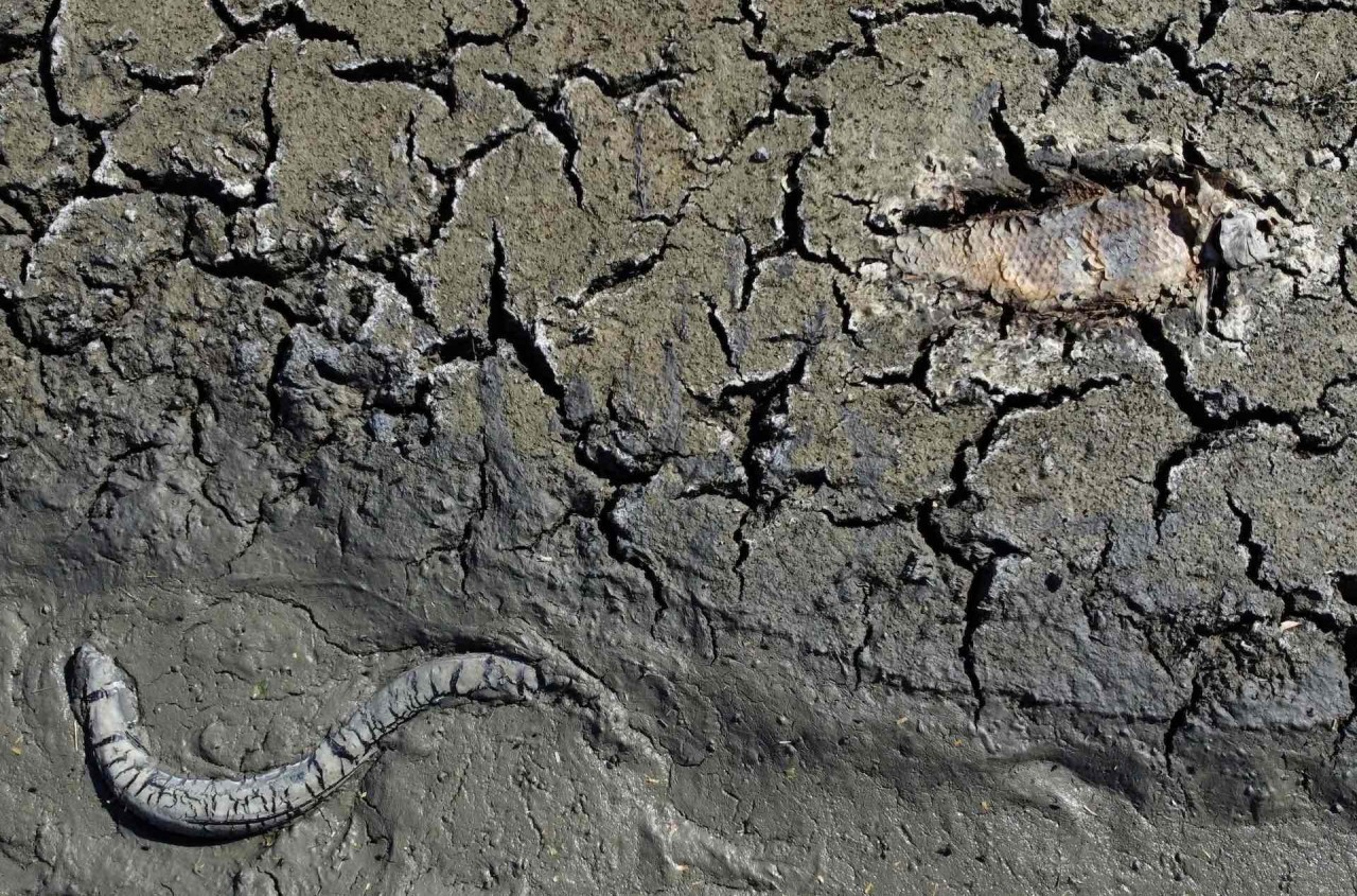 Ngày Nước thế giới (22/3): Tài nguyên quan trọng của hành tinh xanh