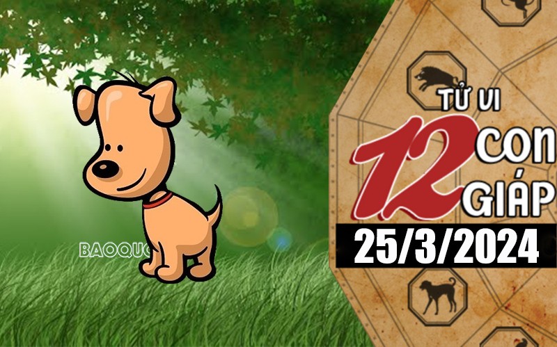 Tử vi hôm nay, xem tử vi 12 con giáp hôm nay ngày 25/3/2024: Tuổi Tuất công việc may mắn, thuận lợi Tử vi hôm nay, xem tử vi 12 con giáp hôm nay ngày 25/3/2024: Tuổi Tuất công việc may mắn, thuận lợi