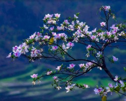 Điện Biên 'thay áo mới'