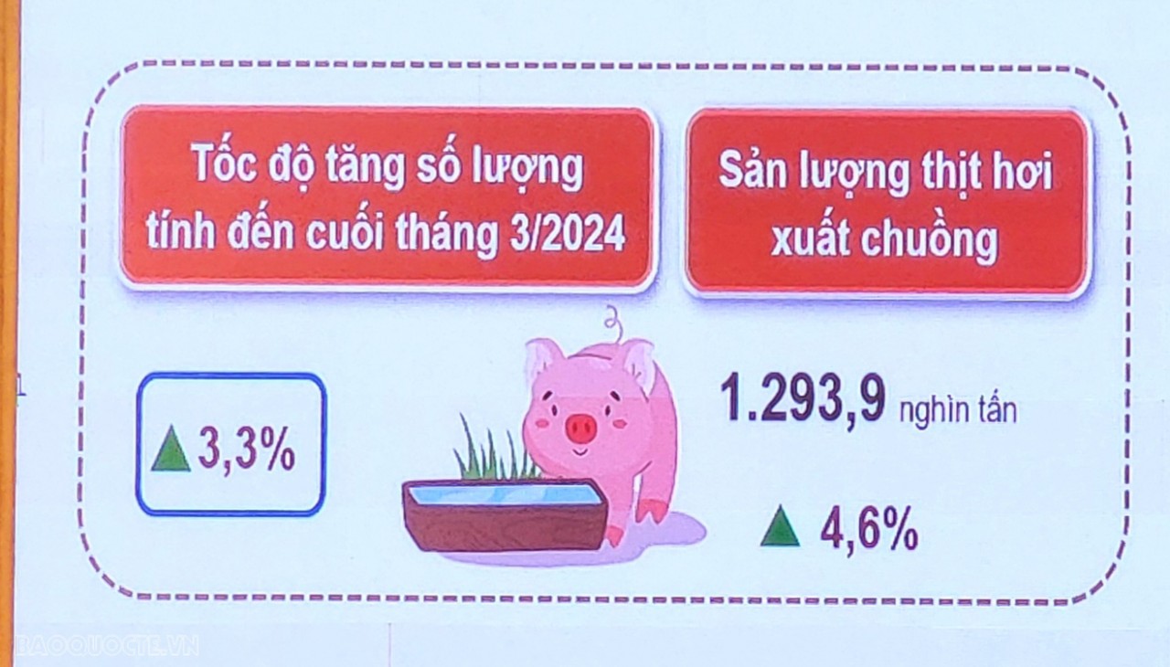 Giá heo hơi hôm nay 29/3: Dù đã giảm nhưng vẫn ở mức cao; Dự báo tiêu thụ thịt lợn toàn cầu năm 2030 Giá heo hơi hôm nay 29/3: Giá heo hơi tiếp đà giảm; sản lượng thịt hơi xuất chuồng tăng
