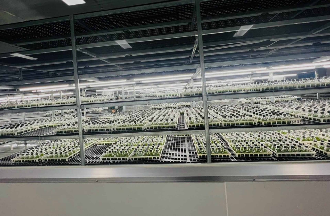 Mở ra những cơ hội hợp tác cho doanh nghiệp Việt Nam từ chuyến thăm của Trợ lý Tổng thư ký LHQ, Giám đốc UNITAR