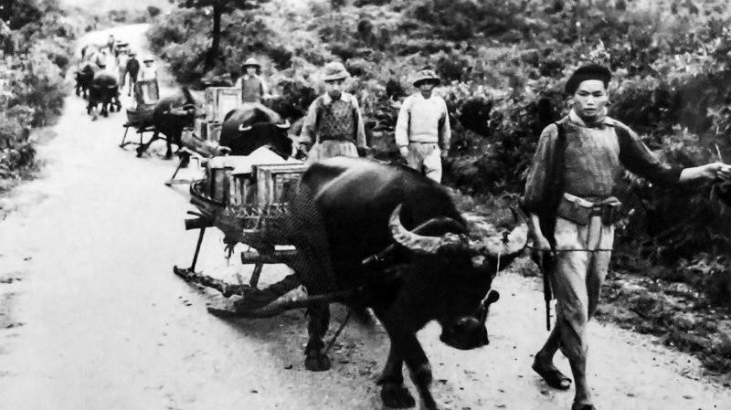 Sức mạnh toàn dân trong Chiến thắng Điện Biên Phủ