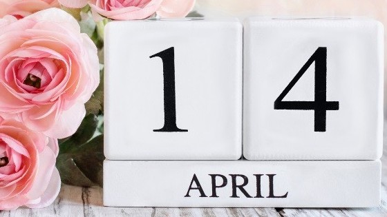 Ngày 14/4/2024 là ngày gì? ngày 14/4 là Valentine gì?