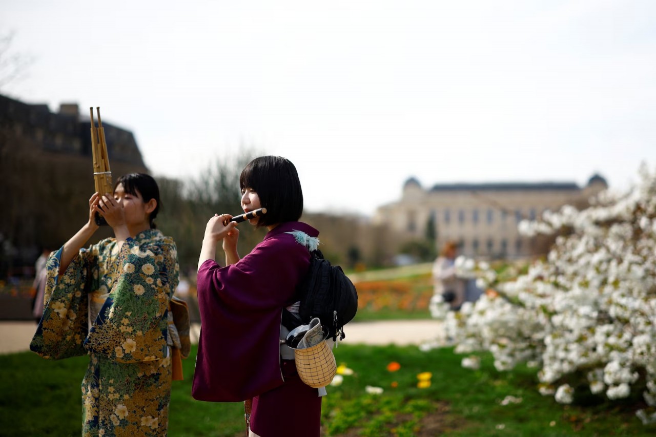 Mê mẩn cảnh sắc hoa anh đào nở rộ trên thế giới Mê mẩn cảnh sắc hoa anh đào nở rộ trên thế giới