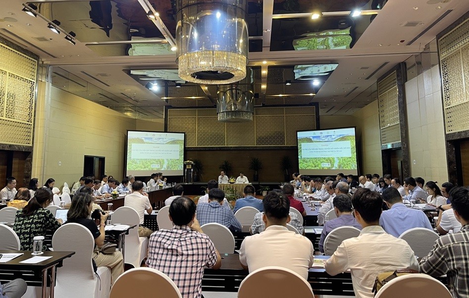 Dư địa cho việc sử dụng viên nén tại thị trường nội địa là rất lớn