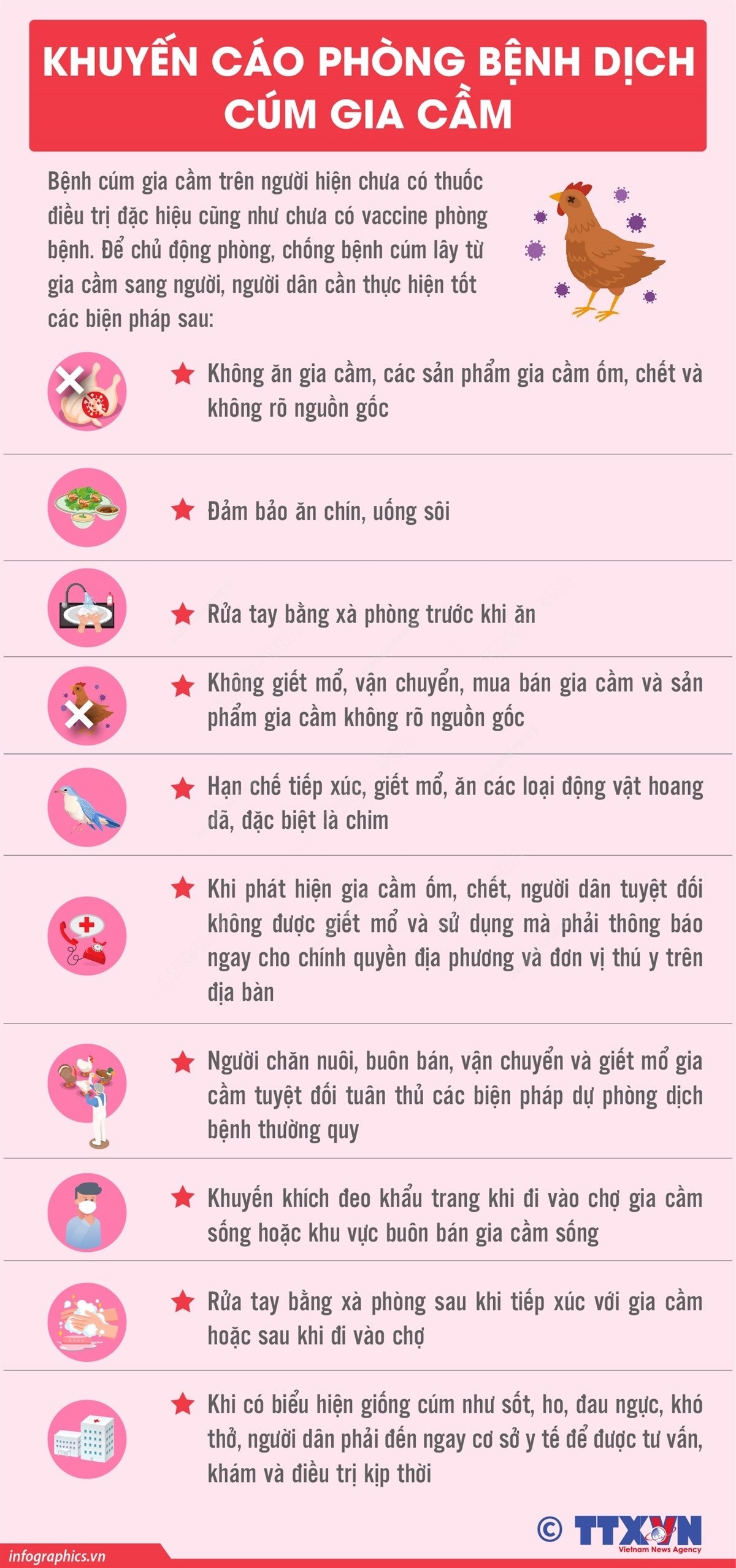 Khuyến cáo phòng bệnh dịch cúm gia cầm