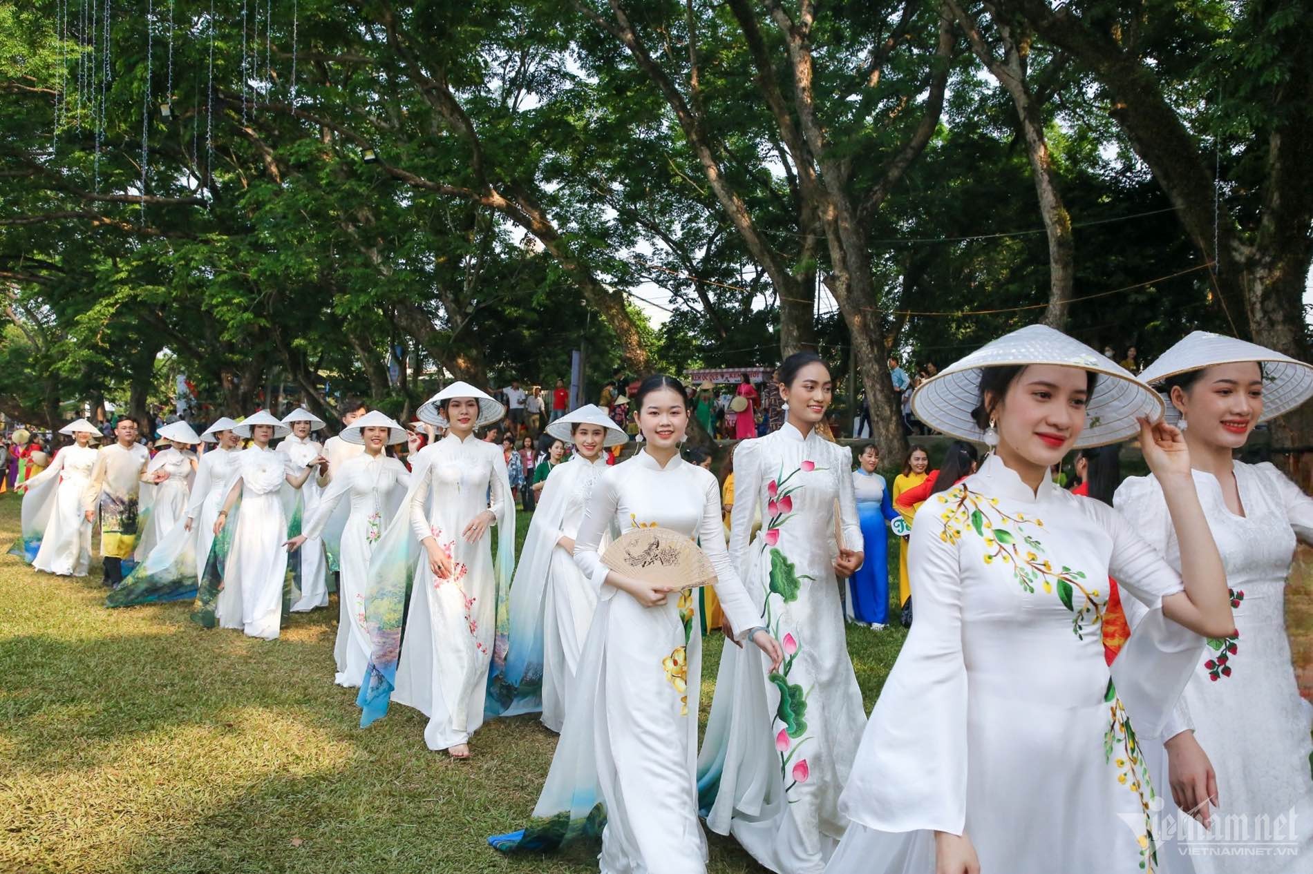 Ngắm 9 cây sưa trăm tuổi vừa được công nhận di sản Việt Nam Cây sưa trăm tuổi vừa được công nhận di sản Việt Nam hút du khách đến check-in