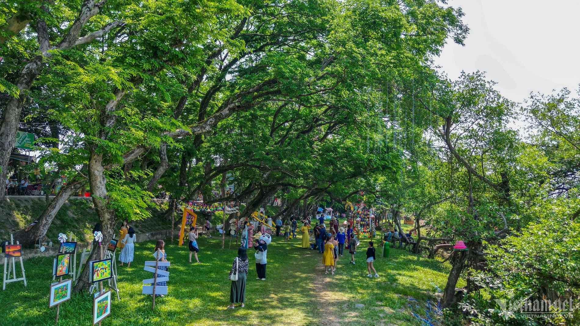 Ngắm 9 cây sưa trăm tuổi vừa được công nhận di sản Việt Nam Cây sưa trăm tuổi vừa được công nhận di sản Việt Nam hút du khách đến check-in