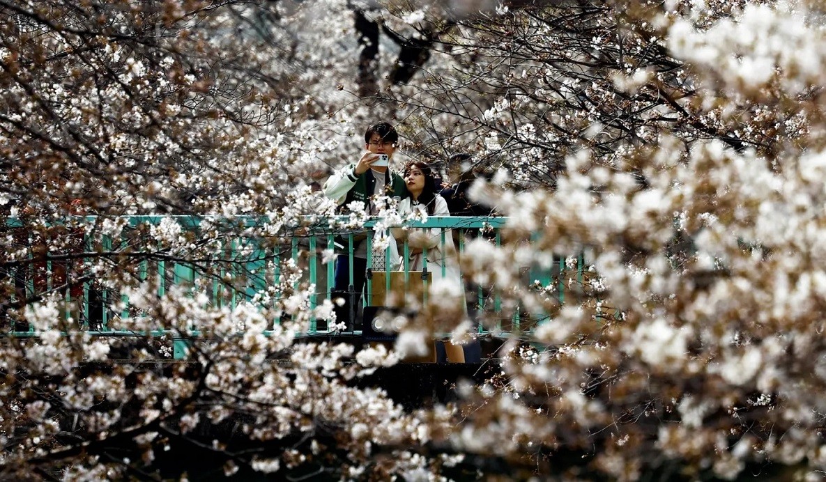 Ảnh ấn tượng (1 7/4): Nga nói về mục đích của kẻ chủ mưu đánh bom nhà hát, Ukraine tập trận ở miền Nam, Đại sứ quán Iran tại Syria bị tấn công