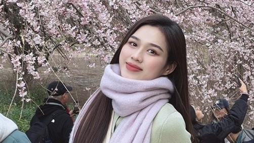 Dàn sao Việt khoe ảnh check-in dưới những tán hoa anh đào rực rỡ tại Bắc Mỹ và Đông Bắc Á