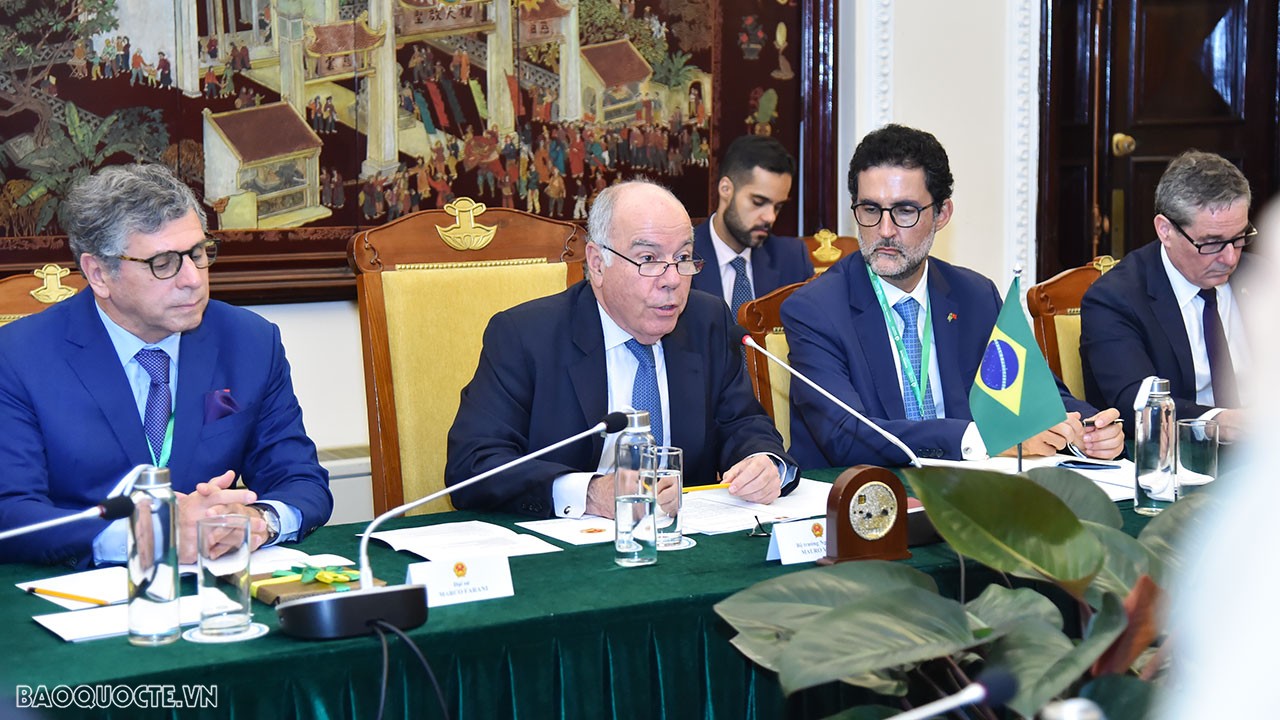 Brazil là đối tác thương mại lớn nhất của Việt Nam tại Mỹ La-tinh và đứng thứ hai tại khu vực châu Mỹ (sau Hoa Kỳ), Việt Nam là đối tác hàng đầu của Brazil trong khu vực ASEAN. Tuy nhiên hợp tác đầu tư giữa hai nước còn khiêm tốn so với tiềm năng.