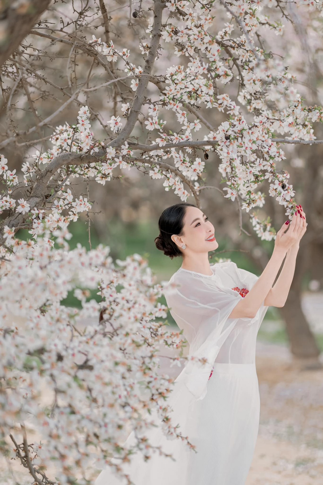 Hoa hậu Hà Kiều Anh