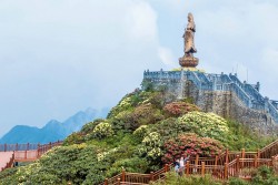 Hoa đỗ quyên đua nở trên đỉnh Fansipan 'mời gọi' du khách dịp nghỉ lễ 30/4