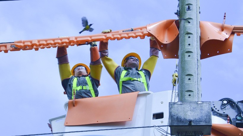 Lịch cúp điện Bình Dương hôm nay ngày 25/4/2024