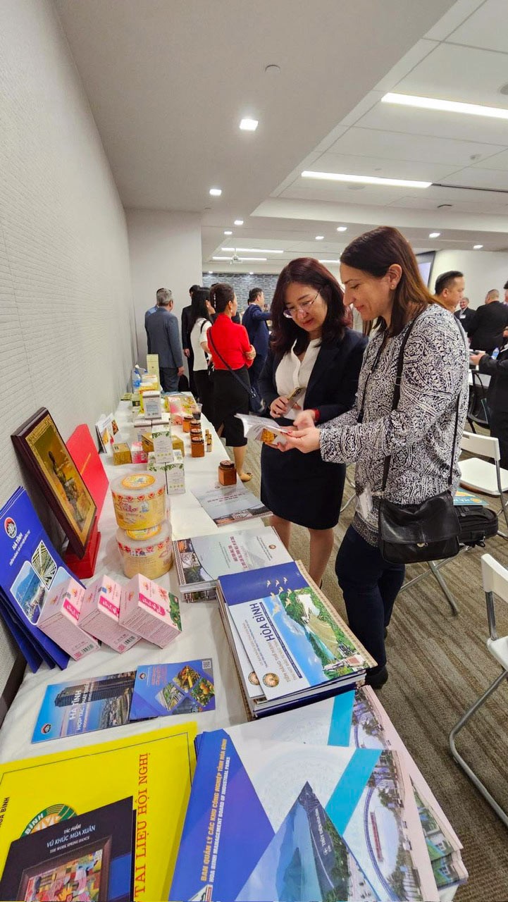 Kết nối quảng bá địa phương Việt Nam tại thành phố Houston, Texas, Hoa Kỳ