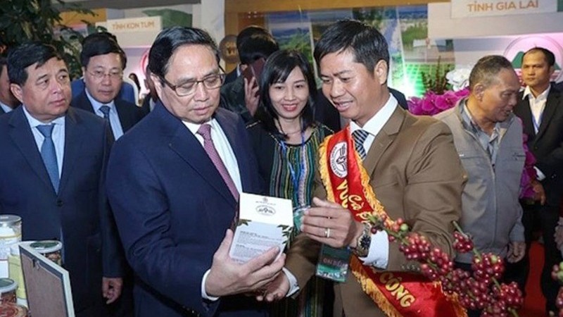 Lan toả giá trị cà phê hữu cơ Việt Nam ra thế giới