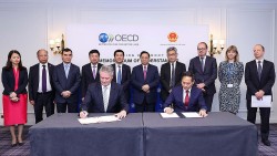 OECD - Diễn đàn quan trọng để gắn kết