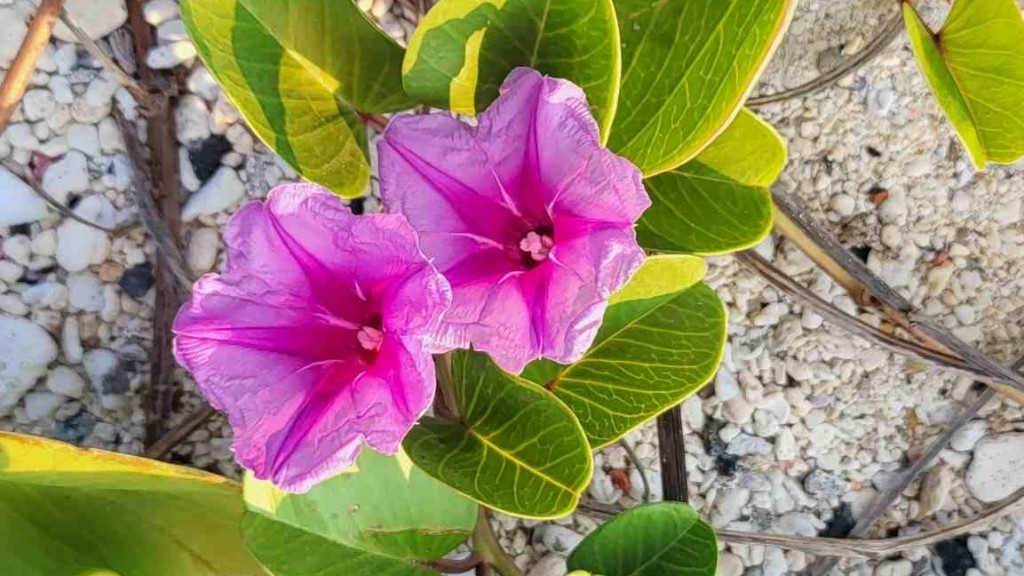 Ngày 30/4, cả nước nắng nóng, thời tiết Bắc Bộ gay gắt trước khi mưa