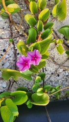 Ngày 30/4, cả nước nắng nóng, thời tiết Bắc Bộ gay gắt trước khi mưa