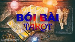 Bài tarot hôm nay 13/5: Bạn nên làm gì để có được một tình yêu hạnh phúc, bền lâu?