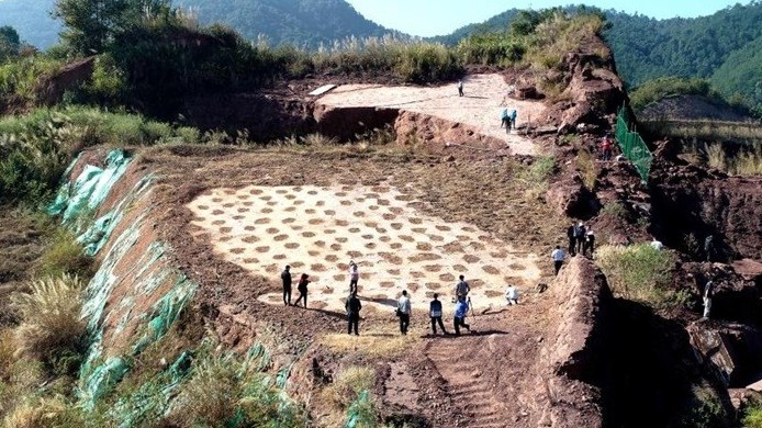 Trung Quốc: Phát hiện dấu chân một trong những loài khủng long ăn thịt lớn nhất thế giới