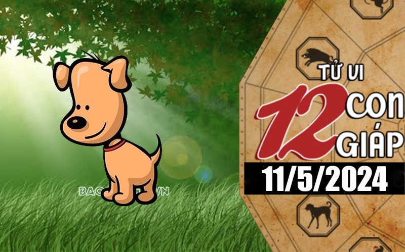 Tử vi hôm nay, xem tử vi 12 con giáp hôm nay ngày 11/5/2024: Tuổi Tuất tài lộc tiêu hao