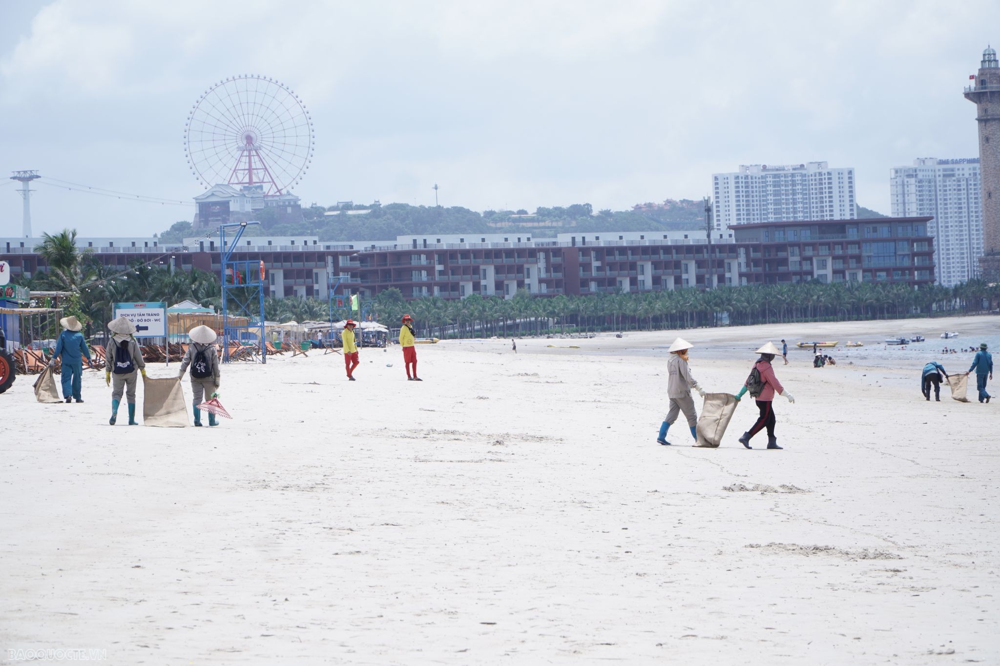 Ngày châu Âu tại Việt Nam: Trăm người cùng nhau làm sạch môi trường biển
