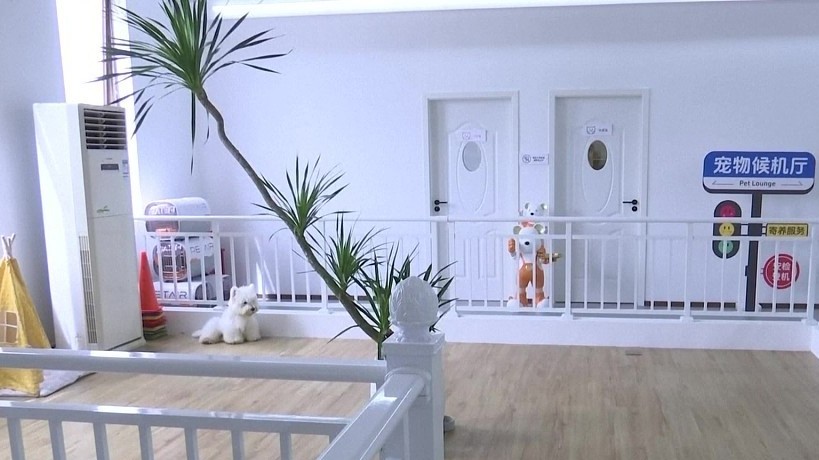 Khai trương phòng chờ máy bay đầu tiên cho thú cưng tại Thâm Quyến, Trung Quốc