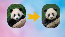 Biến ảnh thường thành ảnh tượng đất sét cực thú vị mà bạn nên biết