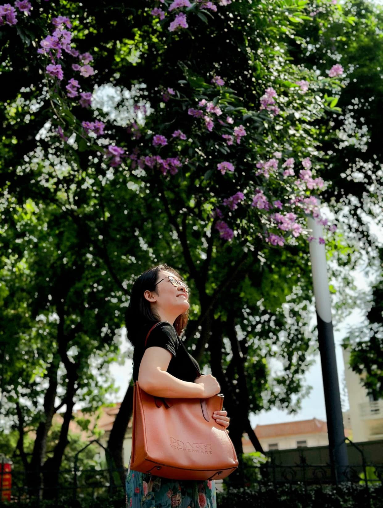 Hoa bằng lăng 'nhuộm' tím phố phường Hà Nội